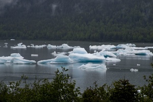 316-1416 Icebergs on Mendenhall Glacier Lake, Juneau, AK